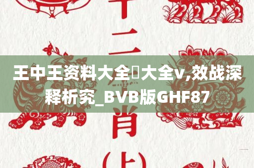 王中王资料大全枓大全v,效战深释析究_BVB版GHF87