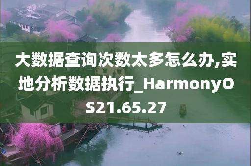 大数据查询次数太多怎么办,实地分析数据执行_HarmonyOS21.65.27