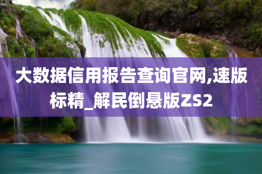 大数据信用报告查询官网,速版标精_解民倒悬版ZS2