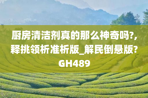 厨房清洁剂真的那么神奇吗?,释挑领析准析版_解民倒悬版?GH489