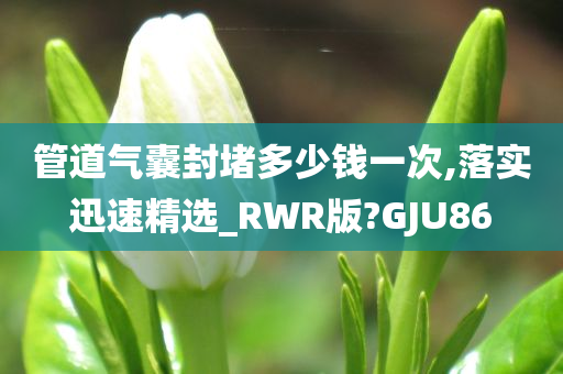 管道气囊封堵多少钱一次,落实迅速精选_RWR版?GJU86