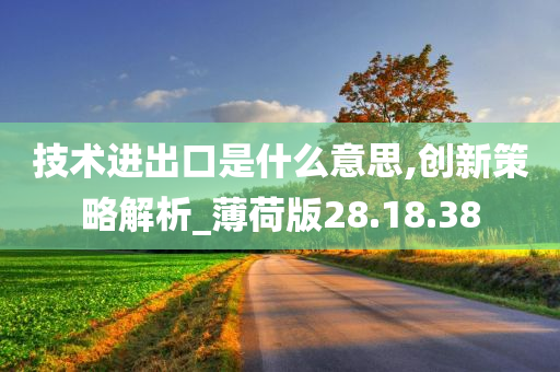 技术进出口是什么意思,创新策略解析_薄荷版28.18.38