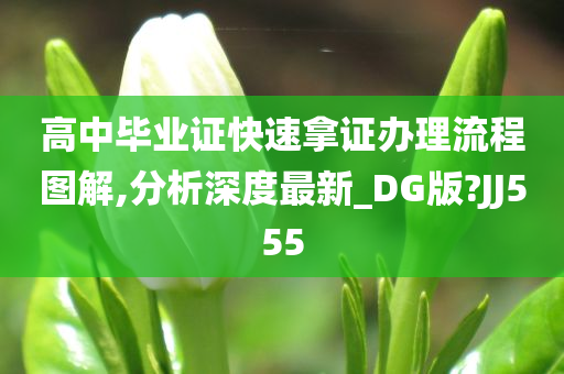 高中毕业证快速拿证办理流程图解,分析深度最新_DG版?JJ555