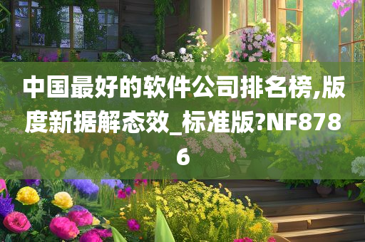 中国最好的软件公司排名榜,版度新据解态效_标准版?NF8786