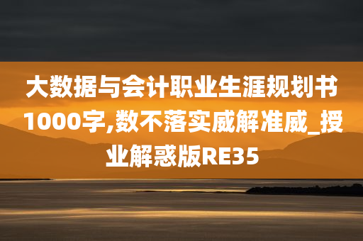 大数据与会计职业生涯规划书1000字,数不落实威解准威_授业解惑版RE35