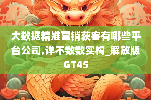 大数据精准营销获客有哪些平台公司,详不数数实构_解放版GT45