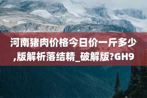 河南猪肉价格今日价一斤多少,版解析落结精_破解版?GH9