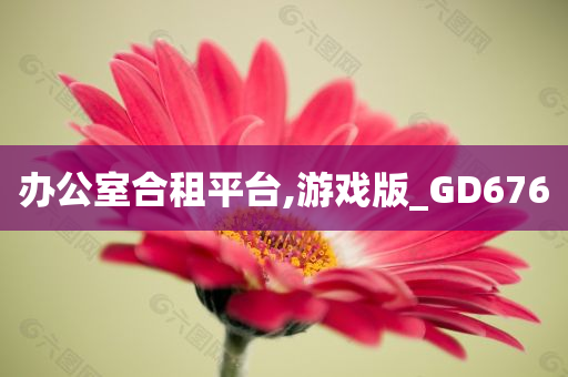 办公室合租平台,游戏版_GD676