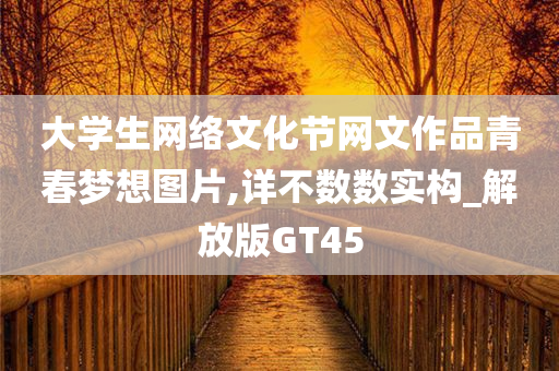 大学生网络文化节网文作品青春梦想图片,详不数数实构_解放版GT45