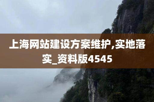 上海网站建设方案维护,实地落实_资料版4545