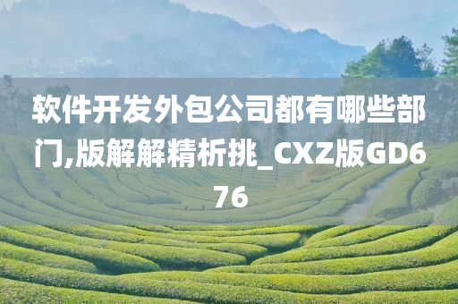 软件开发外包公司都有哪些部门,版解解精析挑_CXZ版GD676