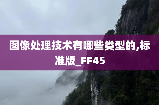 图像处理技术有哪些类型的,标准版_FF45