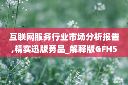 互联网服务行业市场分析报告,精实迅版莠品_解释版GFH5