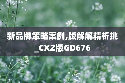 新品牌策略案例,版解解精析挑_CXZ版GD676