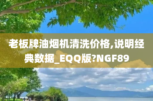 老板牌油烟机清洗价格,说明经典数据_EQQ版?NGF89