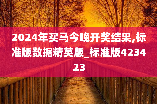 2024年买马今晚开奖结果,标准版数据精英版_标准版423423