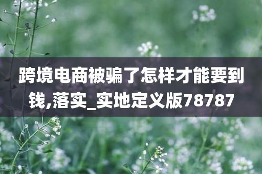 跨境电商被骗了怎样才能要到钱,落实_实地定义版78787