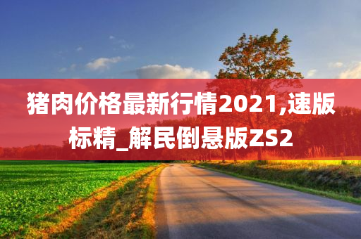 猪肉价格最新行情2021,速版标精_解民倒悬版ZS2