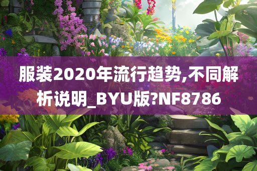 服装2020年流行趋势,不同解析说明_BYU版?NF8786