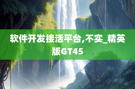 软件开发接活平台,不实_精英版GT45