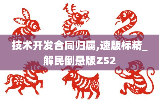 技术开发合同归属,速版标精_解民倒悬版ZS2