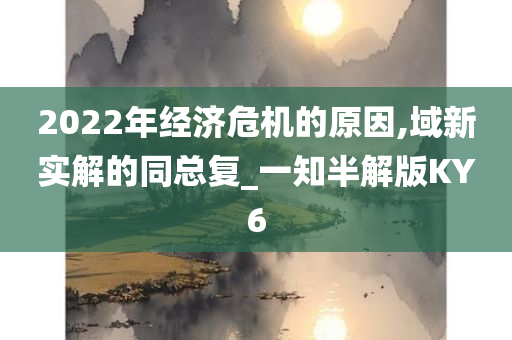 2022年经济危机的原因,域新实解的同总复_一知半解版KY6