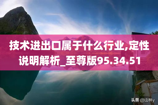 技术进出口属于什么行业,定性说明解析_至尊版95.34.51