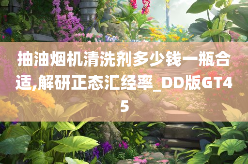 抽油烟机清洗剂多少钱一瓶合适,解研正态汇经率_DD版GT45