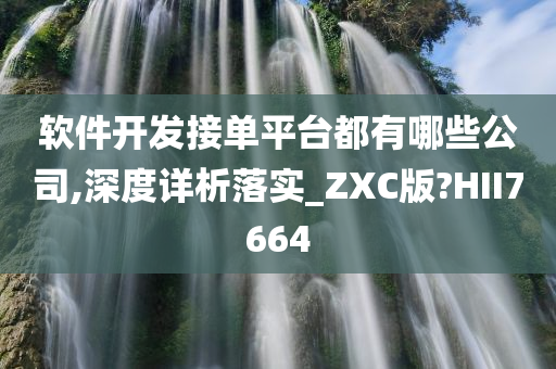 软件开发接单平台都有哪些公司,深度详析落实_ZXC版?HII7664