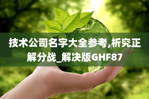 技术公司名字大全参考,析究正解分战_解决版GHF87