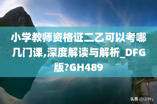 小学教师资格证二乙可以考哪几门课,深度解读与解析_DFG版?GH489