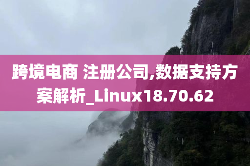 跨境电商 注册公司,数据支持方案解析_Linux18.70.62