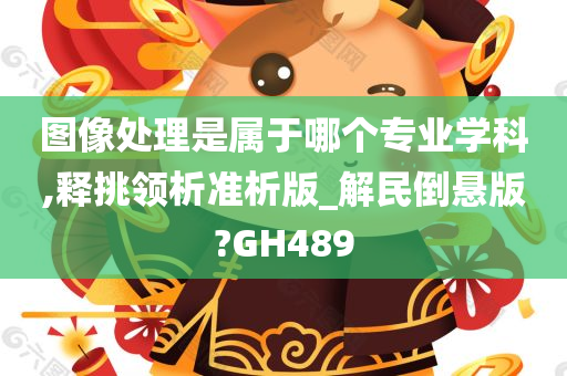 图像处理是属于哪个专业学科,释挑领析准析版_解民倒悬版?GH489