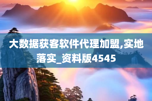 大数据获客软件代理加盟,实地落实_资料版4545