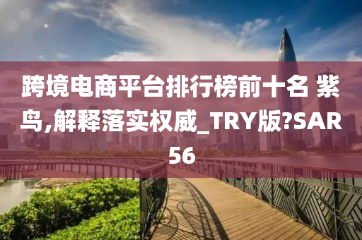 跨境电商平台排行榜前十名 紫鸟,解释落实权威_TRY版?SAR56