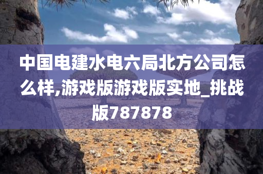 中国电建水电六局北方公司怎么样,游戏版游戏版实地_挑战版787878