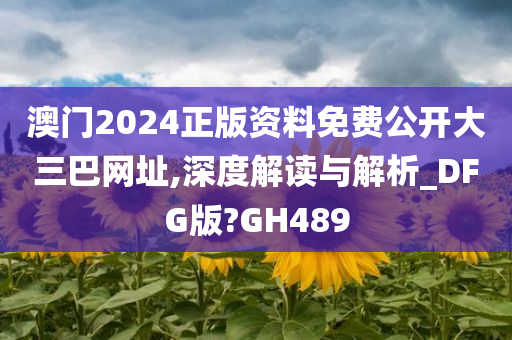 澳门2024正版资料免费公开大三巴网址,深度解读与解析_DFG版?GH489