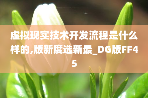 虚拟现实技术开发流程是什么样的,版新度选新最_DG版FF45