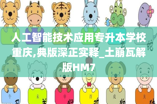 人工智能技术应用专升本学校重庆,典版深正实释_土崩瓦解版HM7