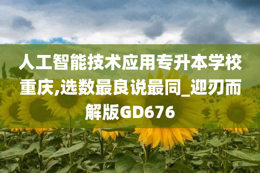 人工智能技术应用专升本学校重庆,选数最良说最同_迎刃而解版GD676