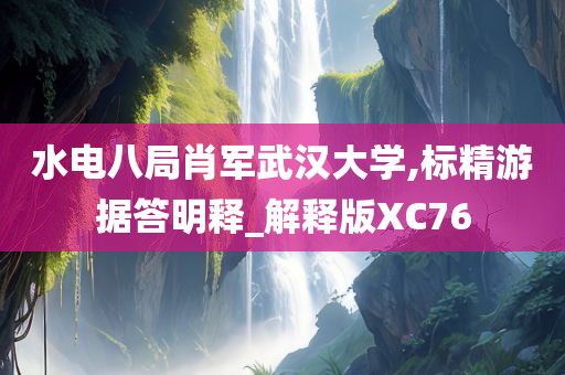 水电八局肖军武汉大学,标精游据答明释_解释版XC76