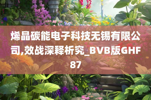 烯晶碳能电子科技无锡有限公司,效战深释析究_BVB版GHF87