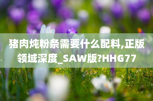 猪肉炖粉条需要什么配料,正版领域深度_SAW版?HHG77