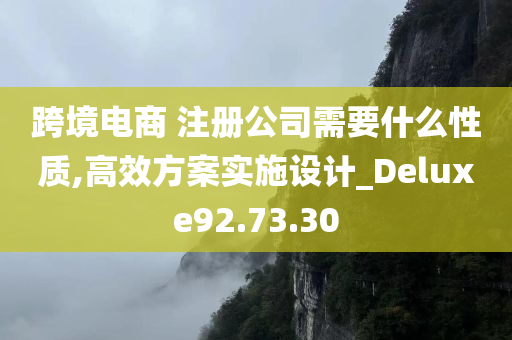 跨境电商 注册公司需要什么性质,高效方案实施设计_Deluxe92.73.30