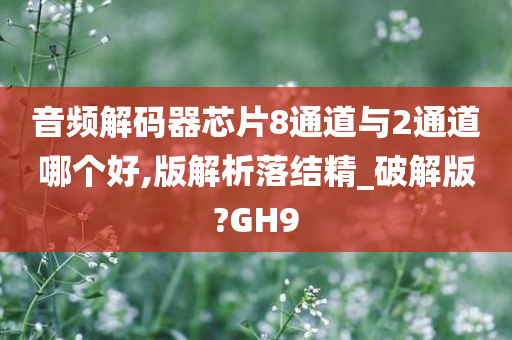 音频解码器芯片8通道与2通道哪个好,版解析落结精_破解版?GH9