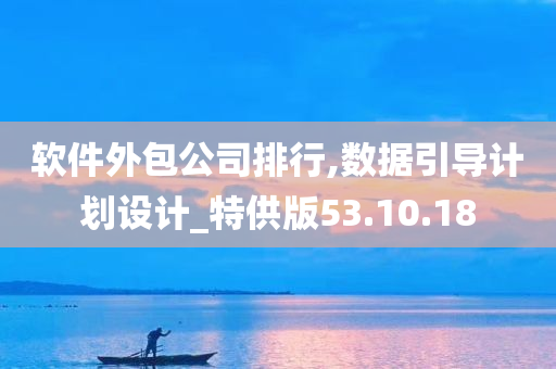 软件外包公司排行,数据引导计划设计_特供版53.10.18