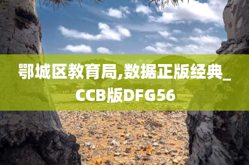 鄂城区教育局,数据正版经典_CCB版DFG56