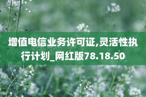 增值电信业务许可证,灵活性执行计划_网红版78.18.50