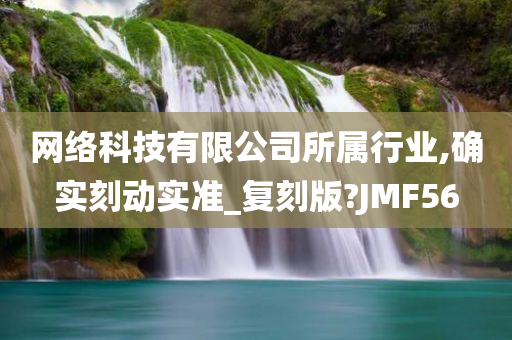 网络科技有限公司所属行业,确实刻动实准_复刻版?JMF56