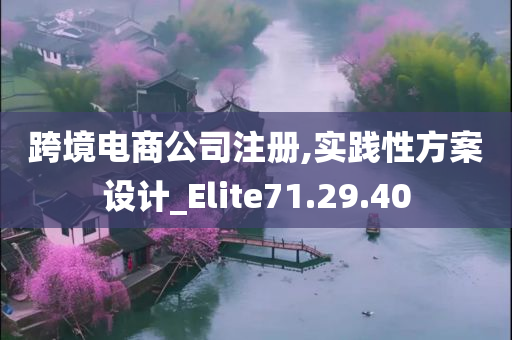 跨境电商公司注册,实践性方案设计_Elite71.29.40